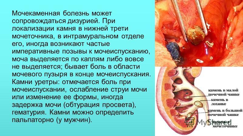 Лист крыжовника фото и чем лечить