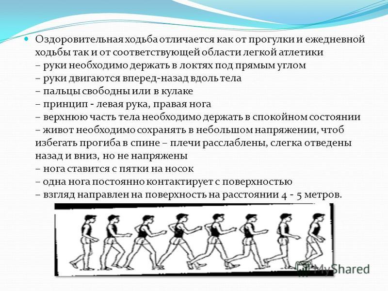 Актуальность проекта по физической культуре