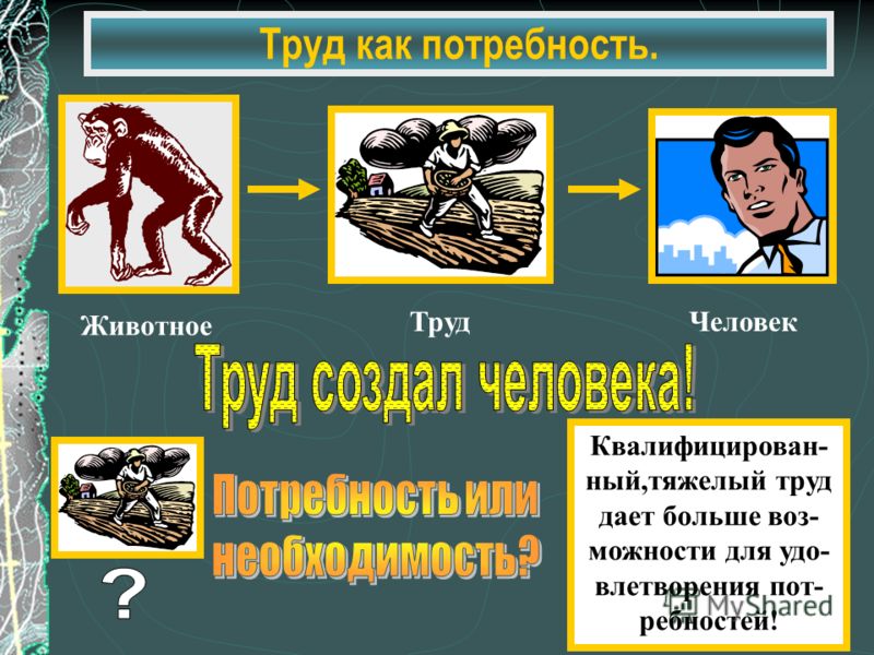 Математика 5 класс ерина ответы