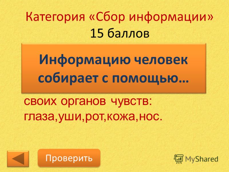 доклад 4 класс человека нос у