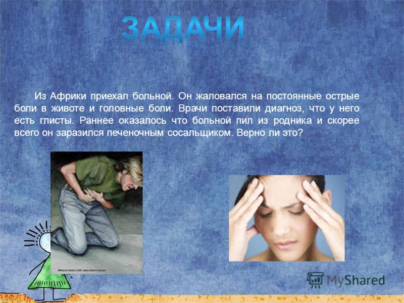 полынь от запаха изо рта полынь от запаха изо рта