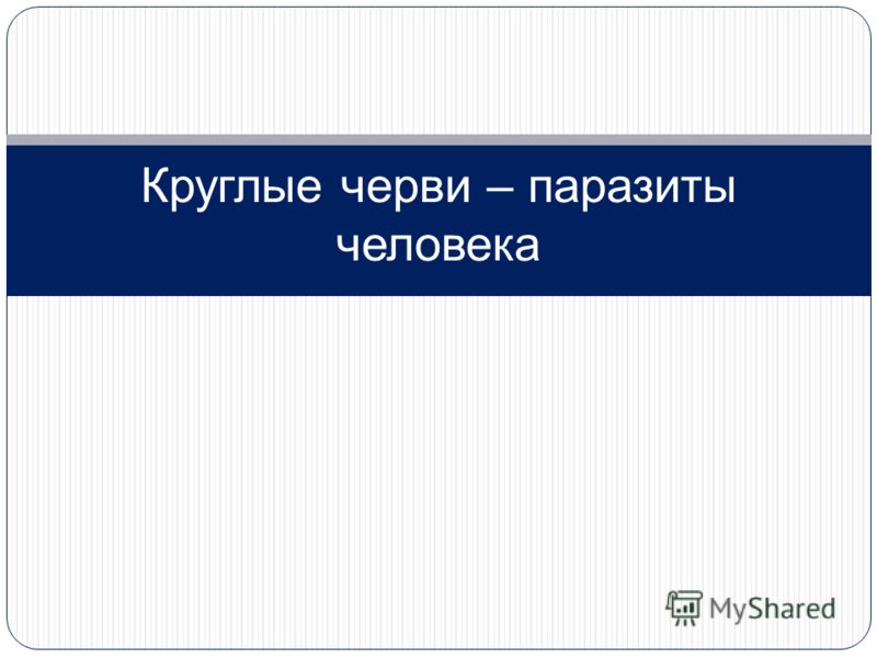 круглые черви паразиты человека виды круглые черви паразиты человека виды