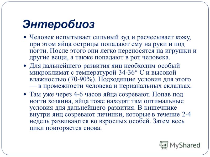 черви в организме человека картинки черви в организме человека картинки