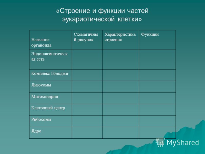 Подробные Решебники по Алгебре 9 Класс