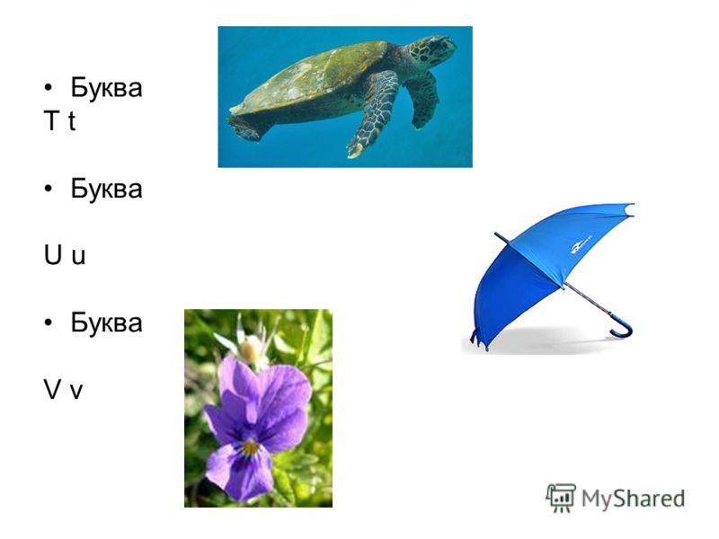 Справка о Прохождении Практики в Школе образец