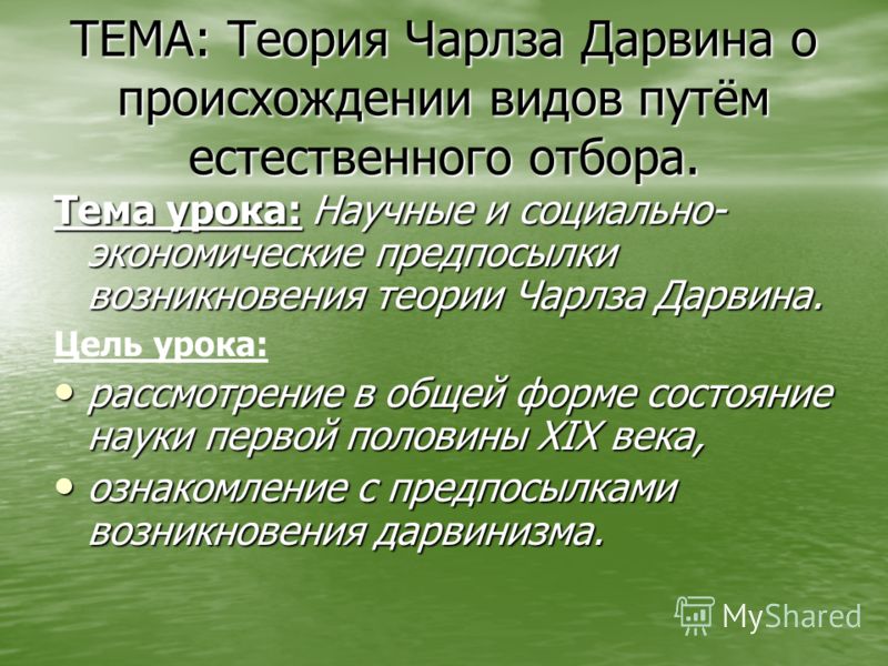 Рабочие программы кружков в начальной школеумники и умницы 3 класс