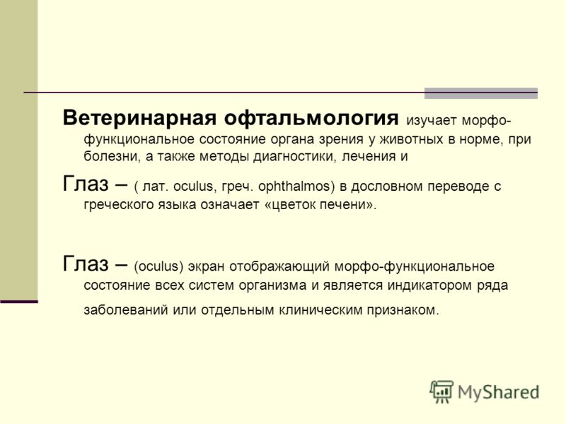 Человек который ищет себе болезни