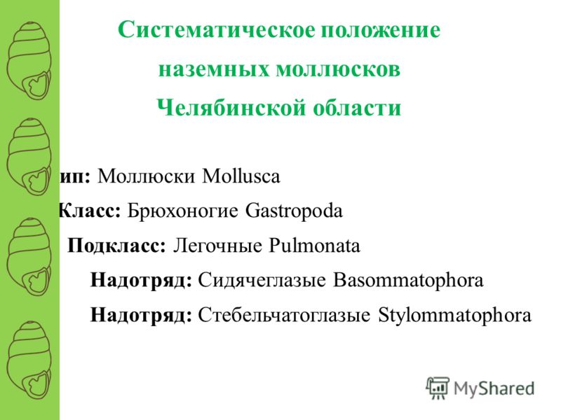 INR/BYR - Курс Индийской рупии к Белорусскому рублю 12 способов дать новую жизнь старым раскраскам Блог издательства