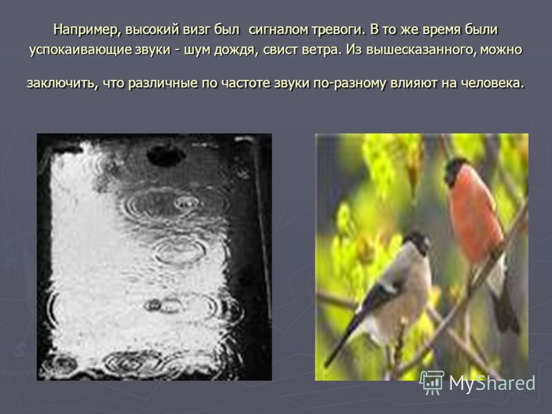 звуки природы слушать онлайн релаксация звуки природы слушать онлайн релаксация