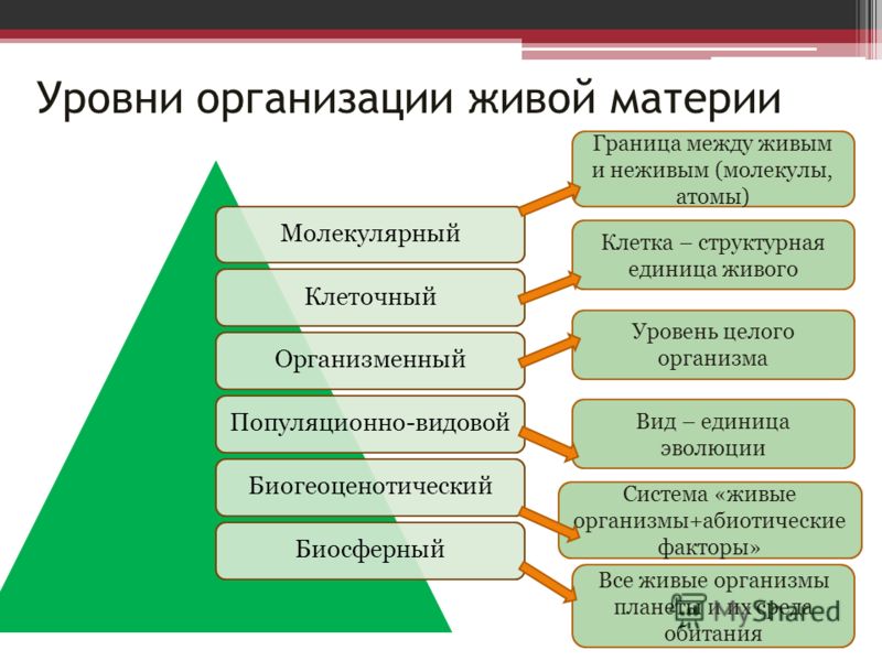 ebook weapons of mass deception the uses of propaganda in bushs