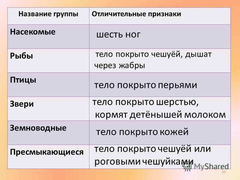 Презентация на тему группы животных 2 класс