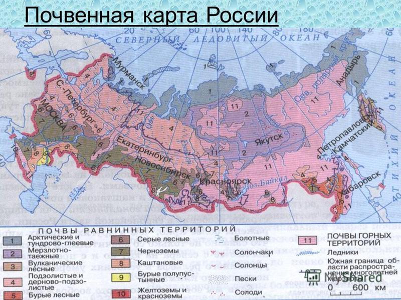 Почвенная карта России