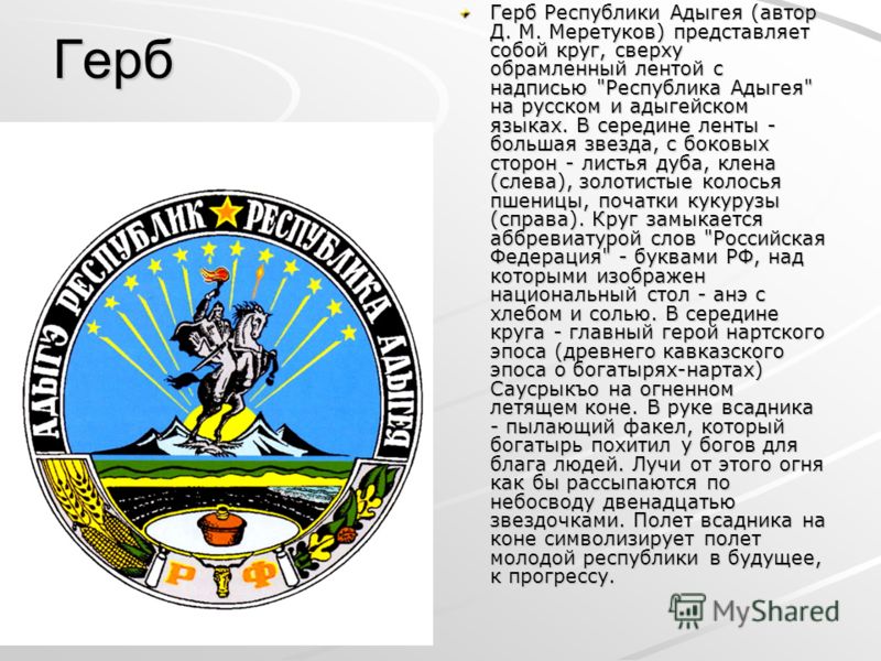 Решебник к русскому языку Практика 8 Класс Пичугов