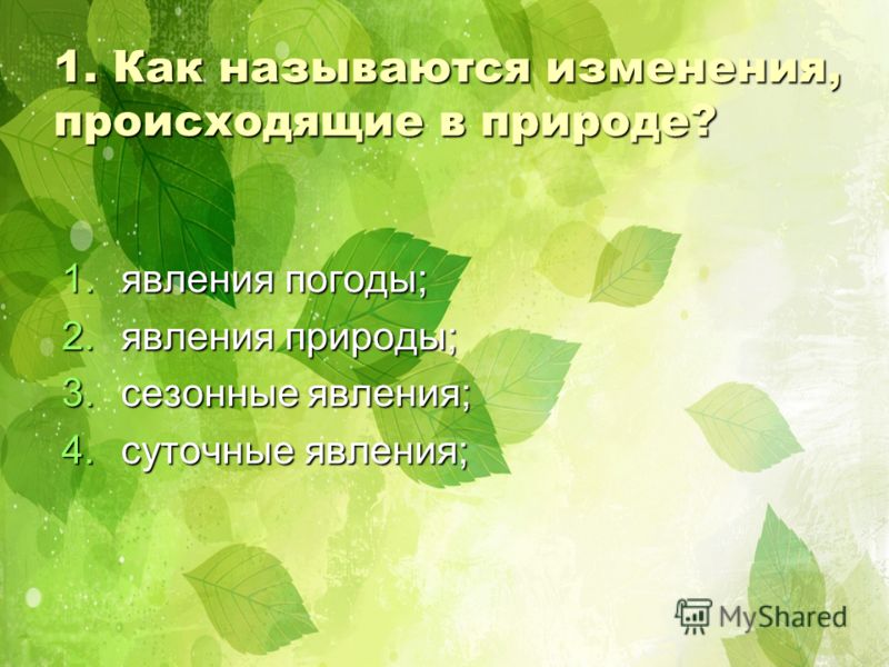 На июль погода в чаще всего