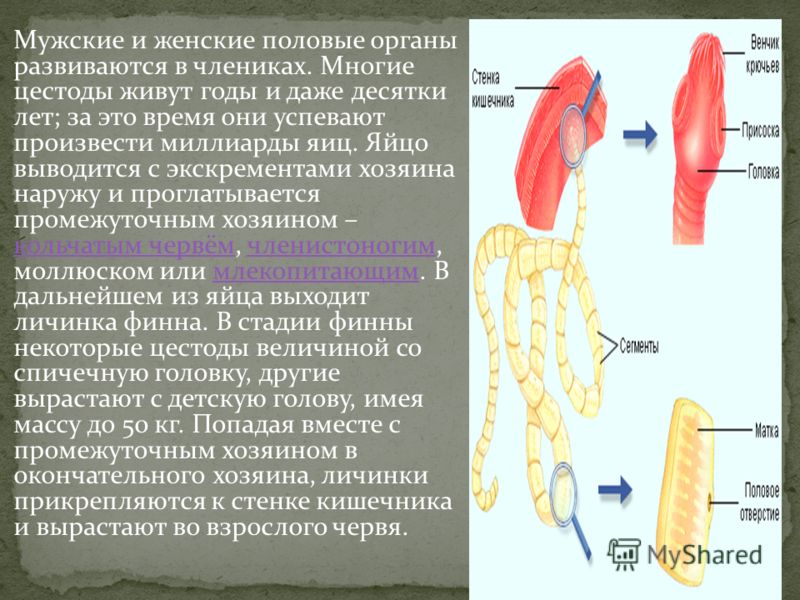 Онлайн учебник по химии 8 класс народная асвета