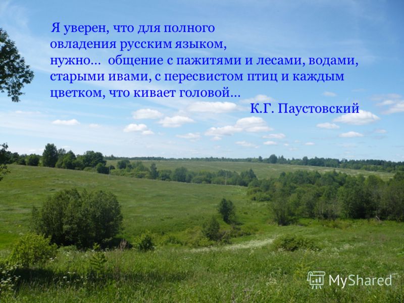 Самые опасные вирусы папилломы человека