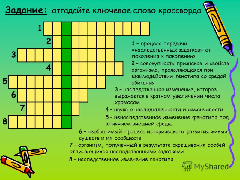 учебники 8 класс беларусь онлайн