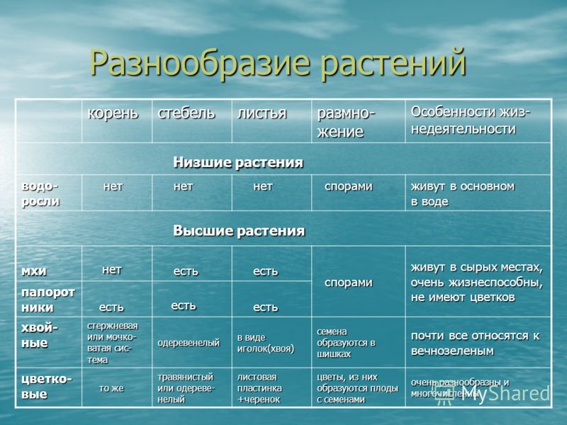 Опухла губа? Одежда из Киргизии оптом