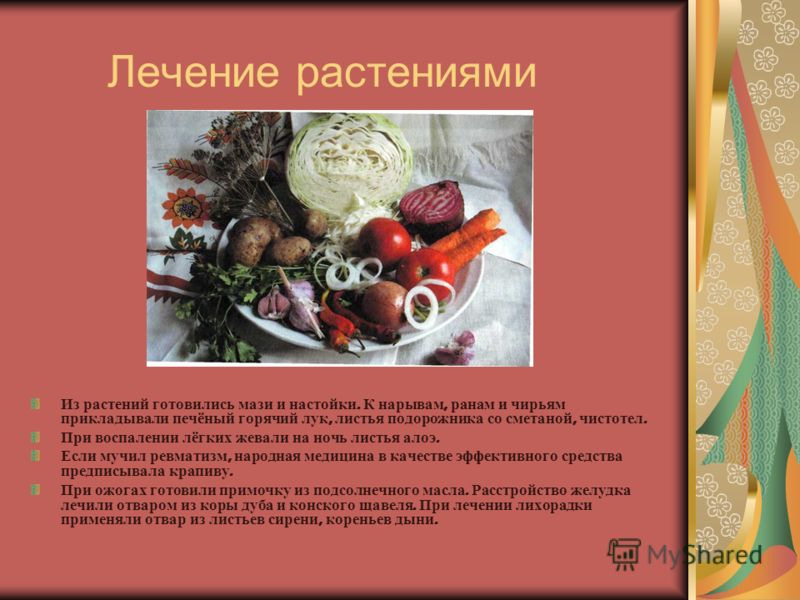 как прогнать паразитов из организма как прогнать паразитов из организма