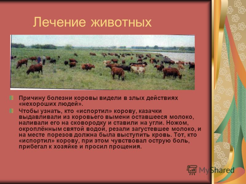 очистить кровь от глистов и токсинов очистить кровь от глистов и токсинов