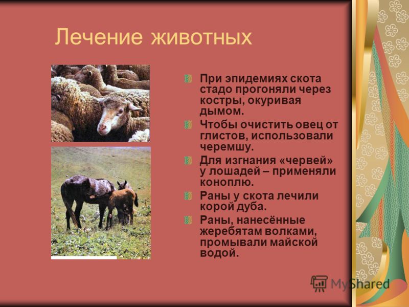 очистить кровь от глистов и токсинов очистить кровь от глистов и токсинов