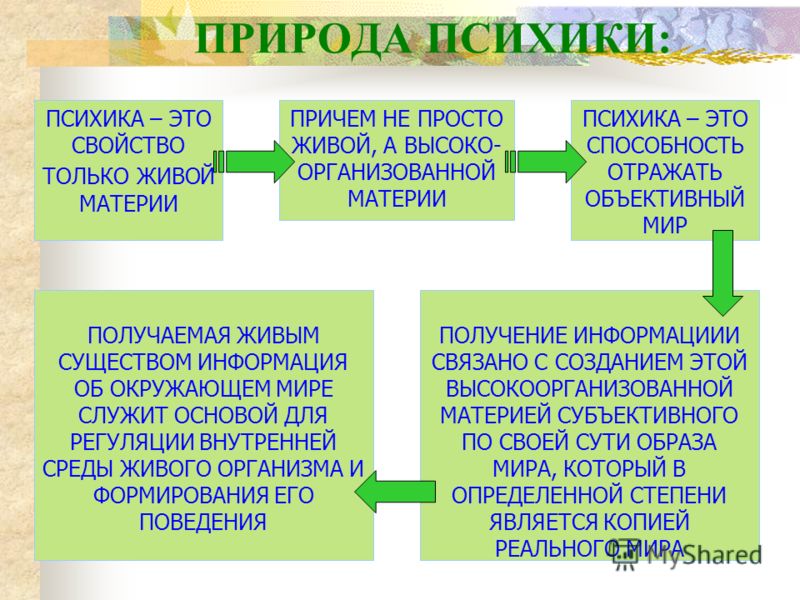 Появление психологии связано Появление психологии связано