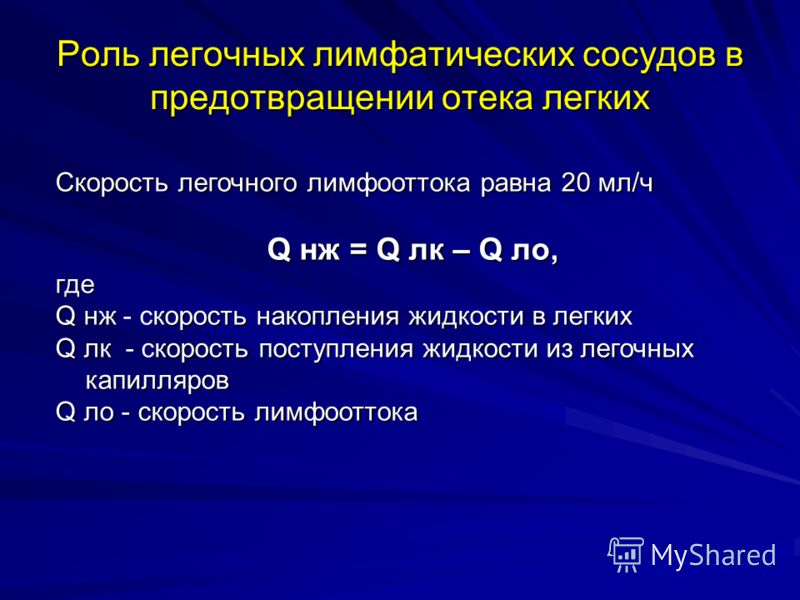 Движение Лимфы Презентация Движение Лимфы Презентация