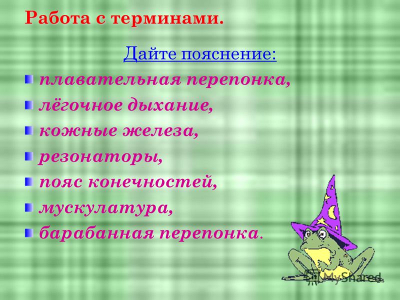 Дышат при помощи лёгких и кожи Дышат при помощи лёгких и кожи