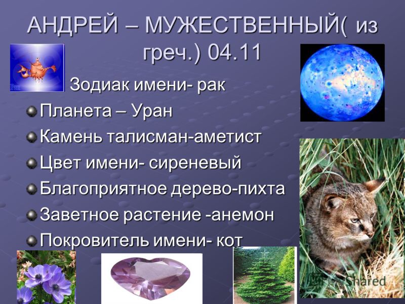 Венера талисман камень Венера талисман камень