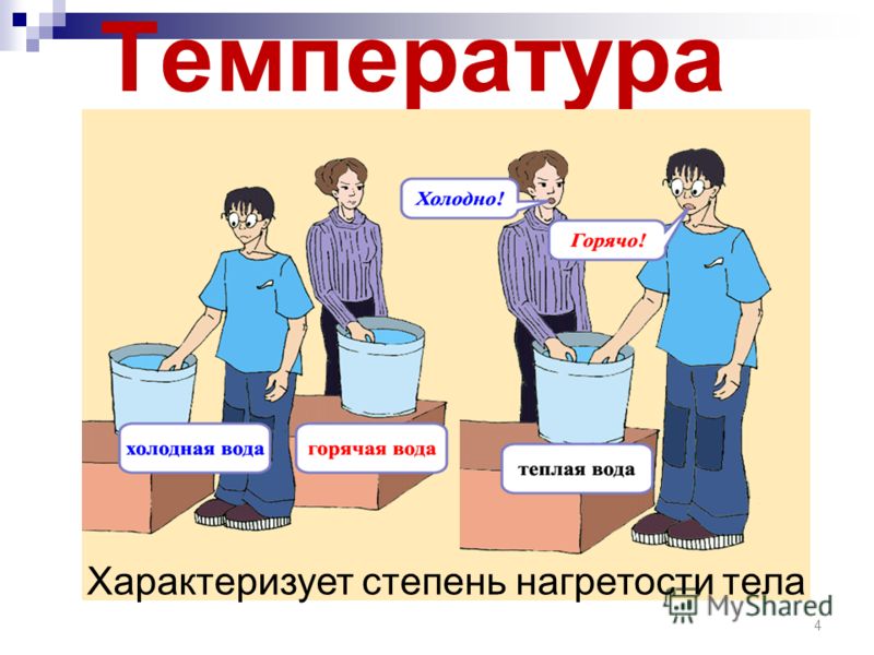 Кат 8 класс ответы