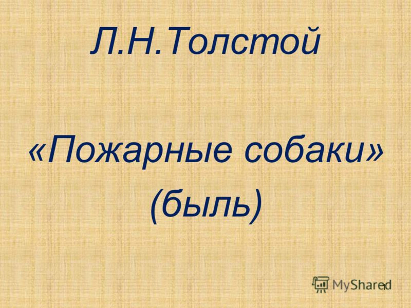 Собаки На Войне Презентация Собаки На Войне Презентация