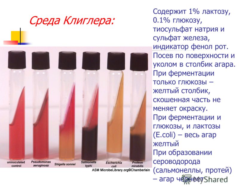 тиосульфат натрия очищение печени тиосульфат натрия очищение печени
