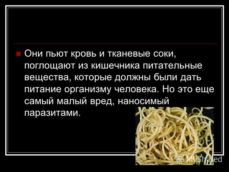 паразиты в тканях человека паразиты в тканях человека