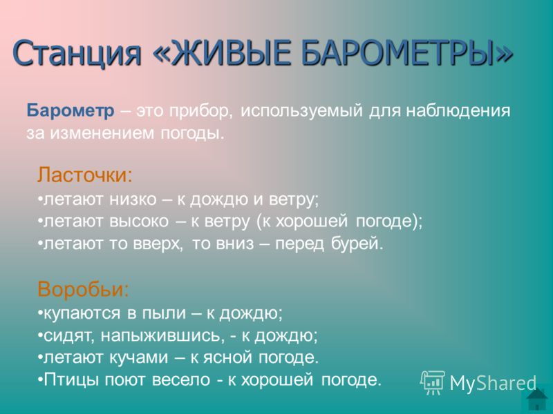 Прогноз погоды в опарино на месяц