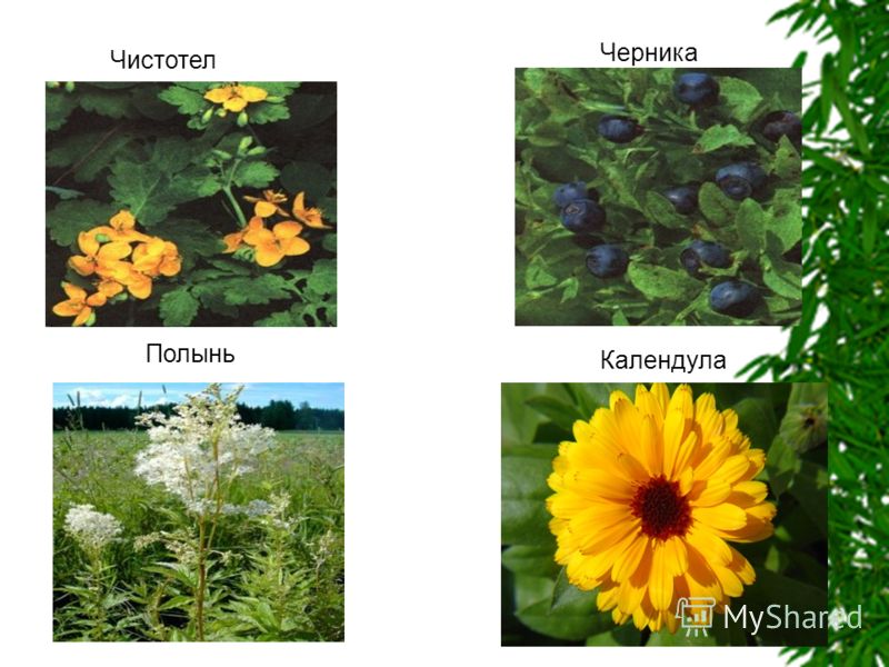 Комплекс упражнений при боли в нижней части спины