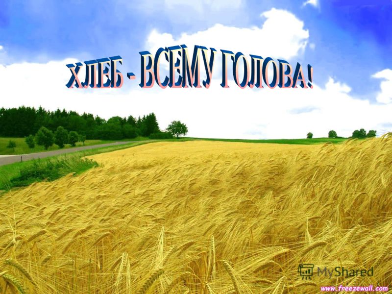Пословицы со словом хлебе Пословицы со словом хлебе