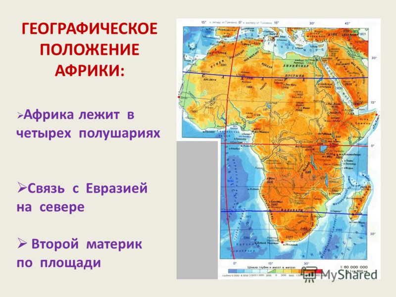 Структура программы профессионального развития учителя начальных классов 2014 г