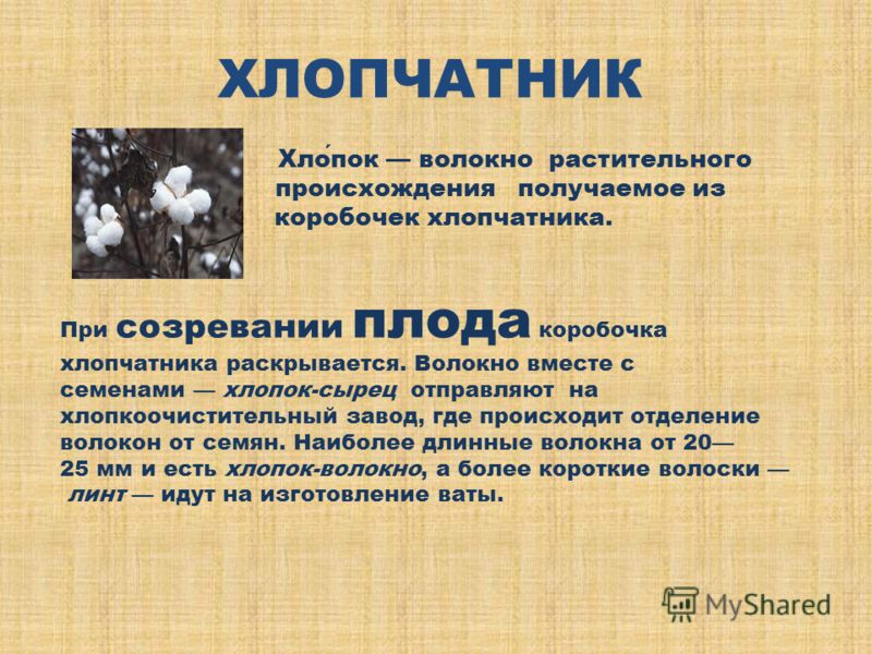 Как сделать хлопок из ваты Как сделать хлопок из ваты