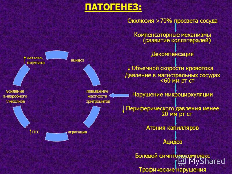 Окклюзия >70% просвета сосуда Компенсаторные механизмы (развитие коллатералей) Декомпенсация Объемной скорости кровотока Давление в магистральных сосу