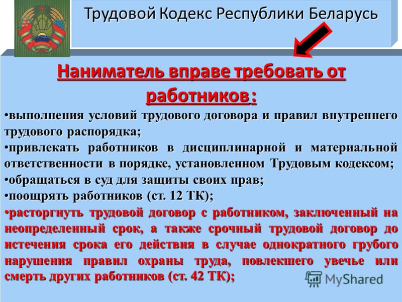 Трудовой Кодекс Республики Беларусь 2012 Бесплатно