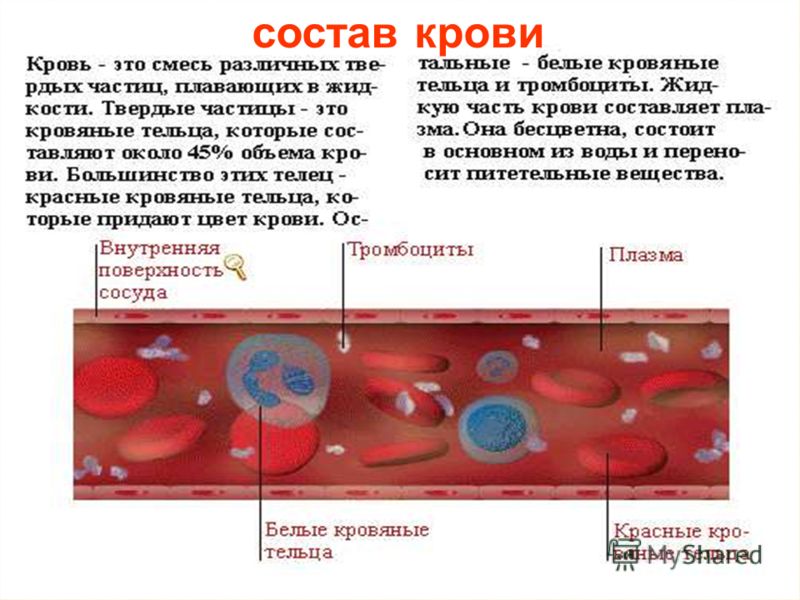 слушать зарубежную поп музыку 90 х слушать зарубежную поп музыку 90 х