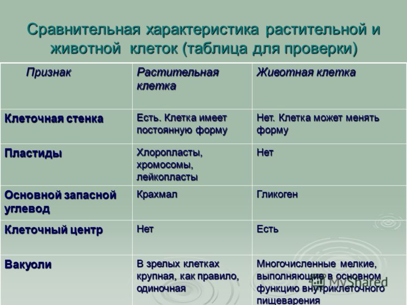 Вязание шарфа спицами фото Вязание шарфа спицами фото