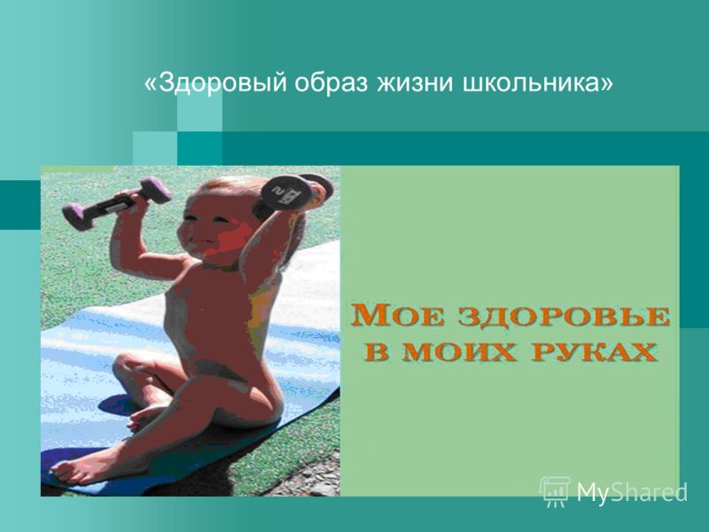 Презентация На Тему Образ Жизни Бушменов Презентация На Тему Образ Жизни Бушменов