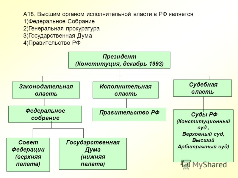Схема дерева власти с ветвями 575