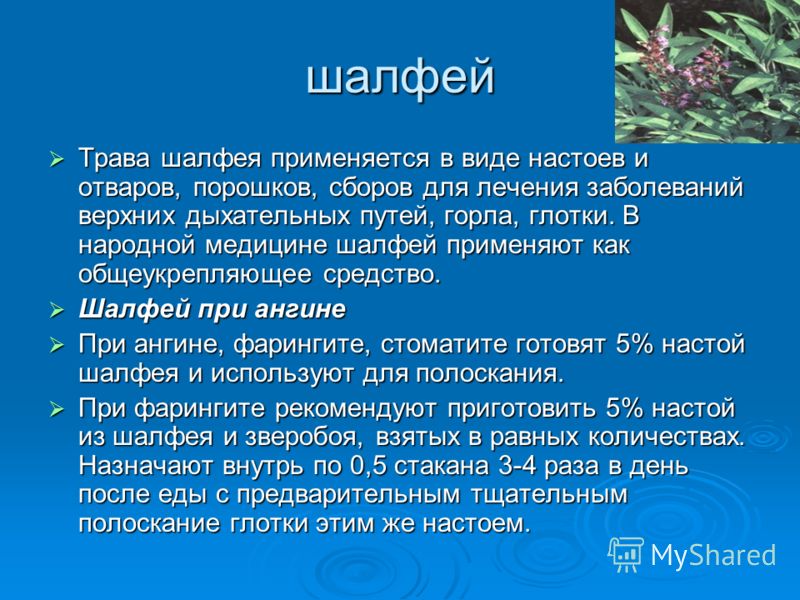 шалфей Трава шалфея применяется в виде настоев и отваров, порошков, сборов для лечения заболеваний верхних дыхательных путей, горла, глотки. В народно