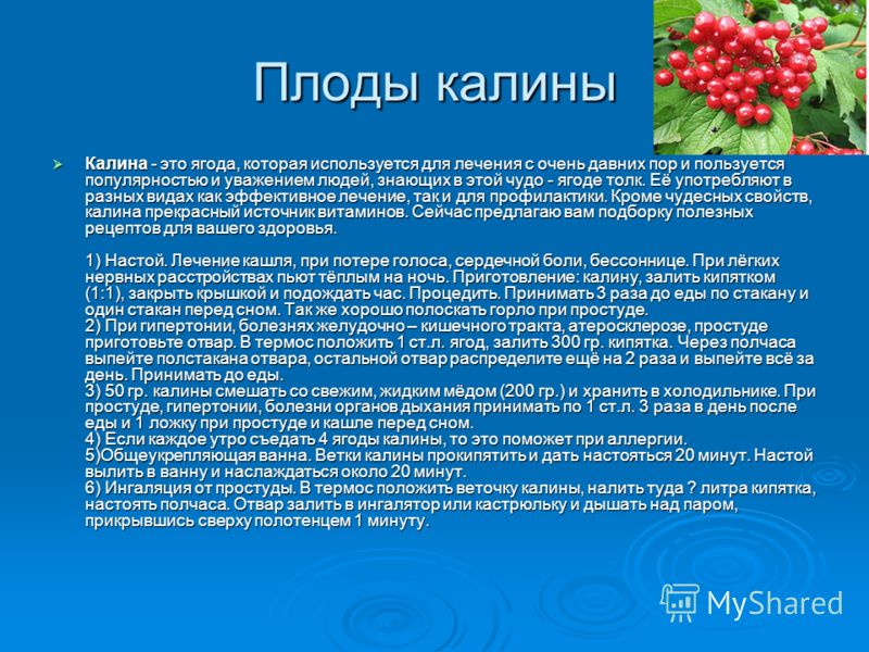 Плоды калины Калина - это ягода, которая используется для лечения с очень давних пор и пользуется популярностью и уважением людей, знающих в этой чудо