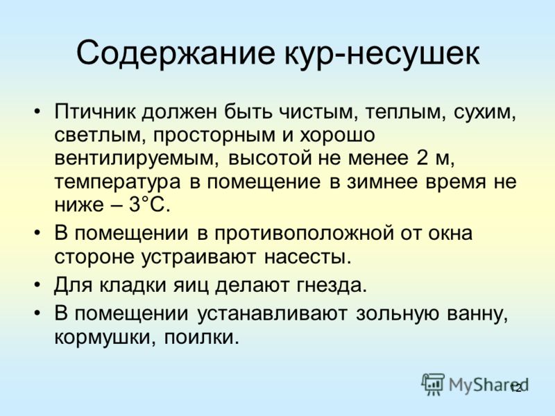 Презентация Породы Кур Презентация Породы Кур