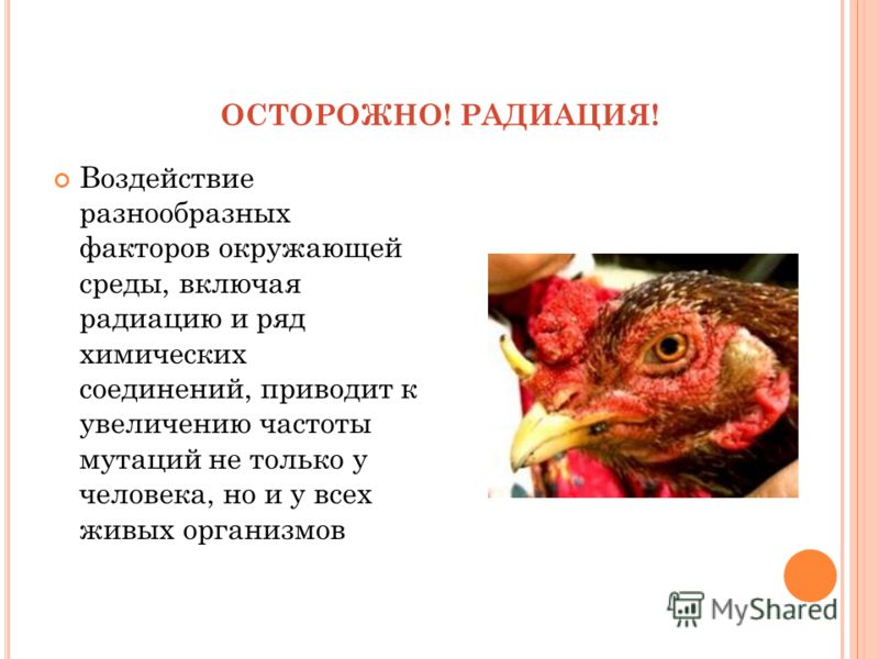 Болит нога в стопе под косточкой