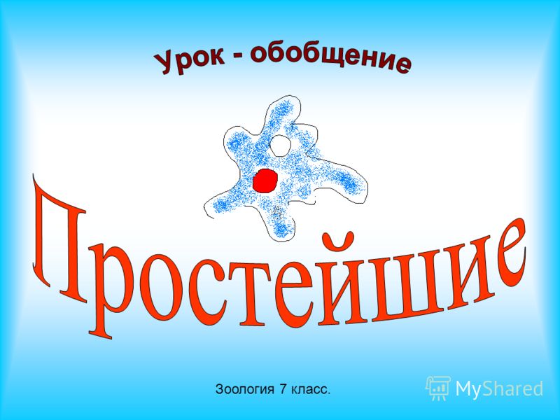Зоология Учебник 7 Класс Зоология Учебник 7 Класс