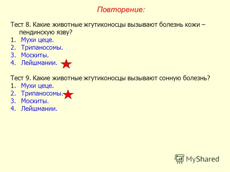 размножение малярийного паразита в крови человека размножение малярийного паразита в крови человека